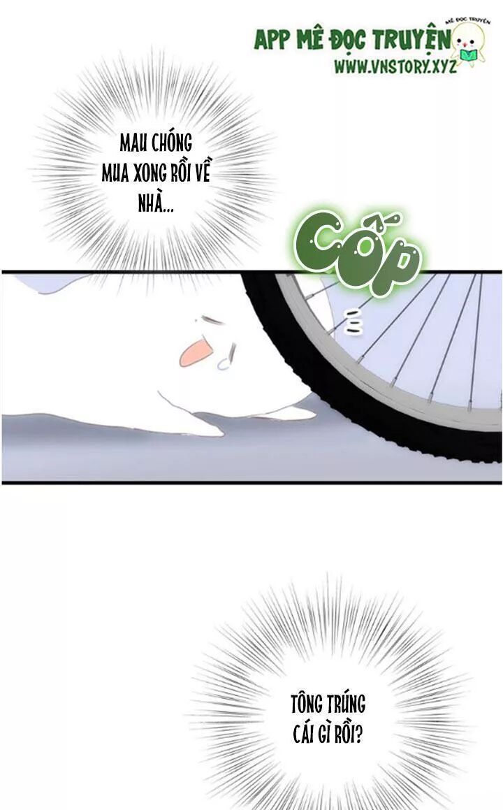 con tim rung động 2 chapter 100 36