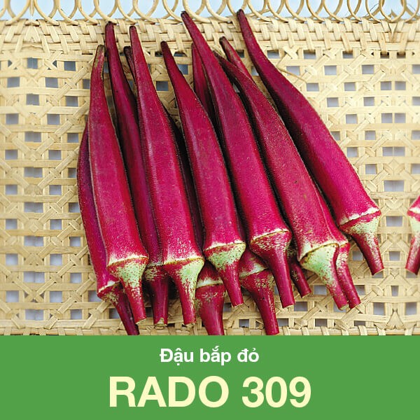 Hạt giống Đậu bắp đỏ 309
