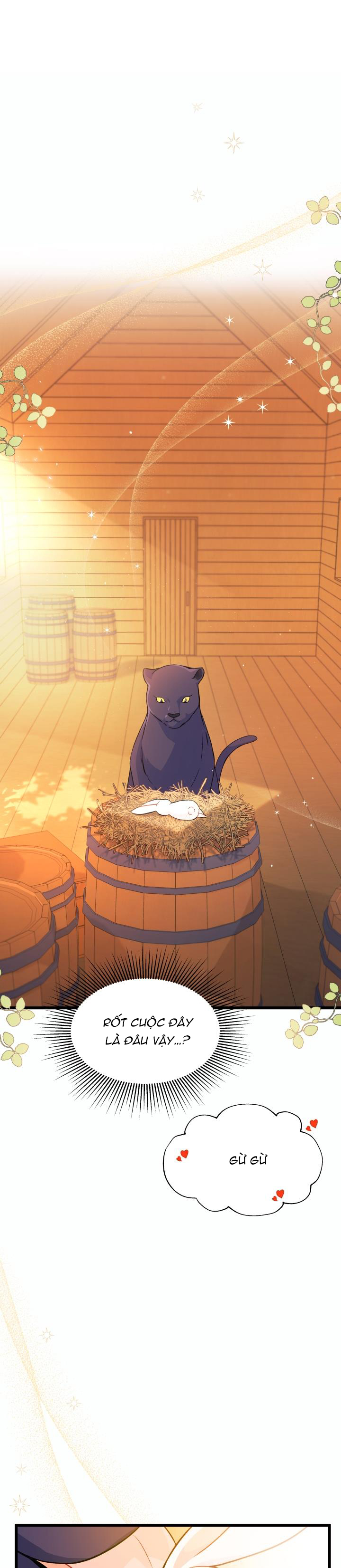 mối liên kết giữa báo đen và bé thỏ chapter 28 7