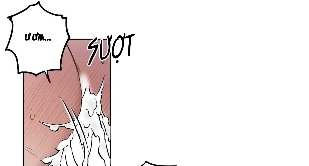 chàng dâu nhà họ kang chapter 23 92