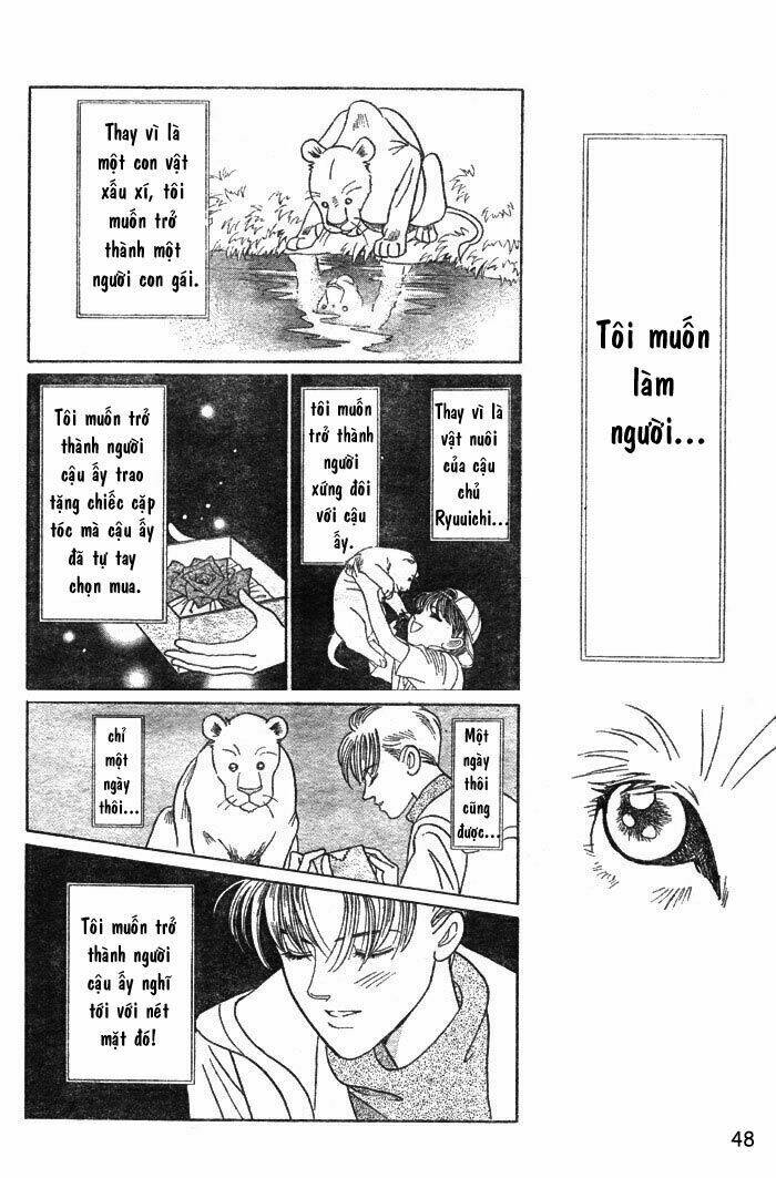 wild cats chapter 1 51