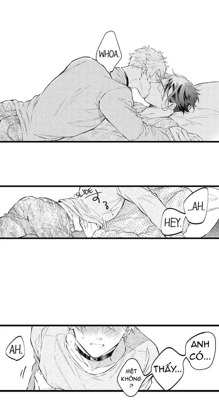 [18+]anh alpha kia! ly hôn đi chapter 4.2 10