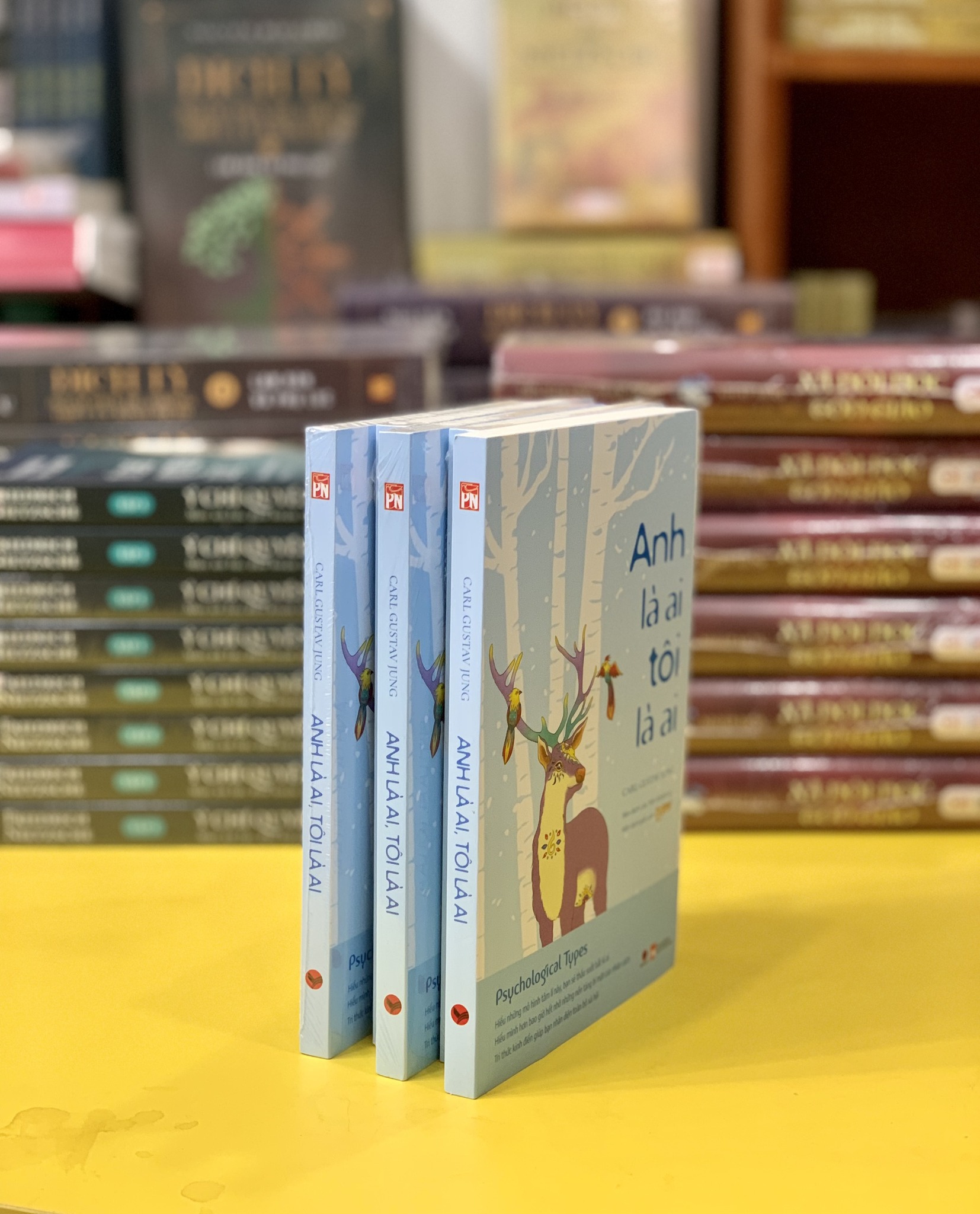 (Tái bản mới nhất) ANH LÀ AI TÔI LÀ AI - Carl Gustave Jung (bìa mềm)
