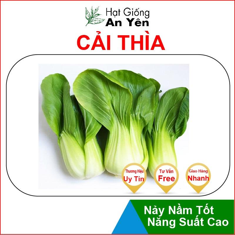 Hạt giống Cải Thìa ,Cải Chip, thu hoạch sớm, dễ trồng, nảy mầm cao, sinh trưởng khoẻ