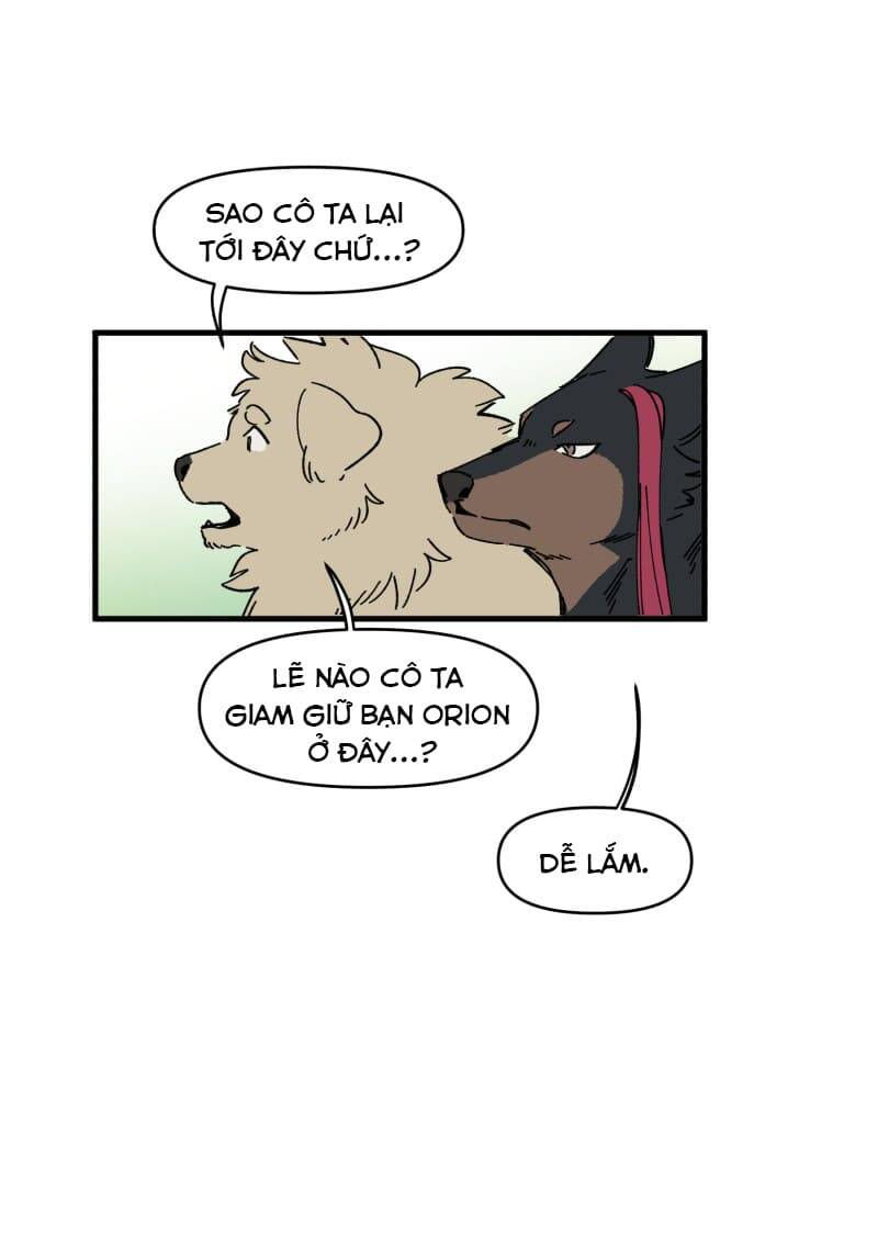 lumine - cội nguồn ánh sáng chapter 142 25