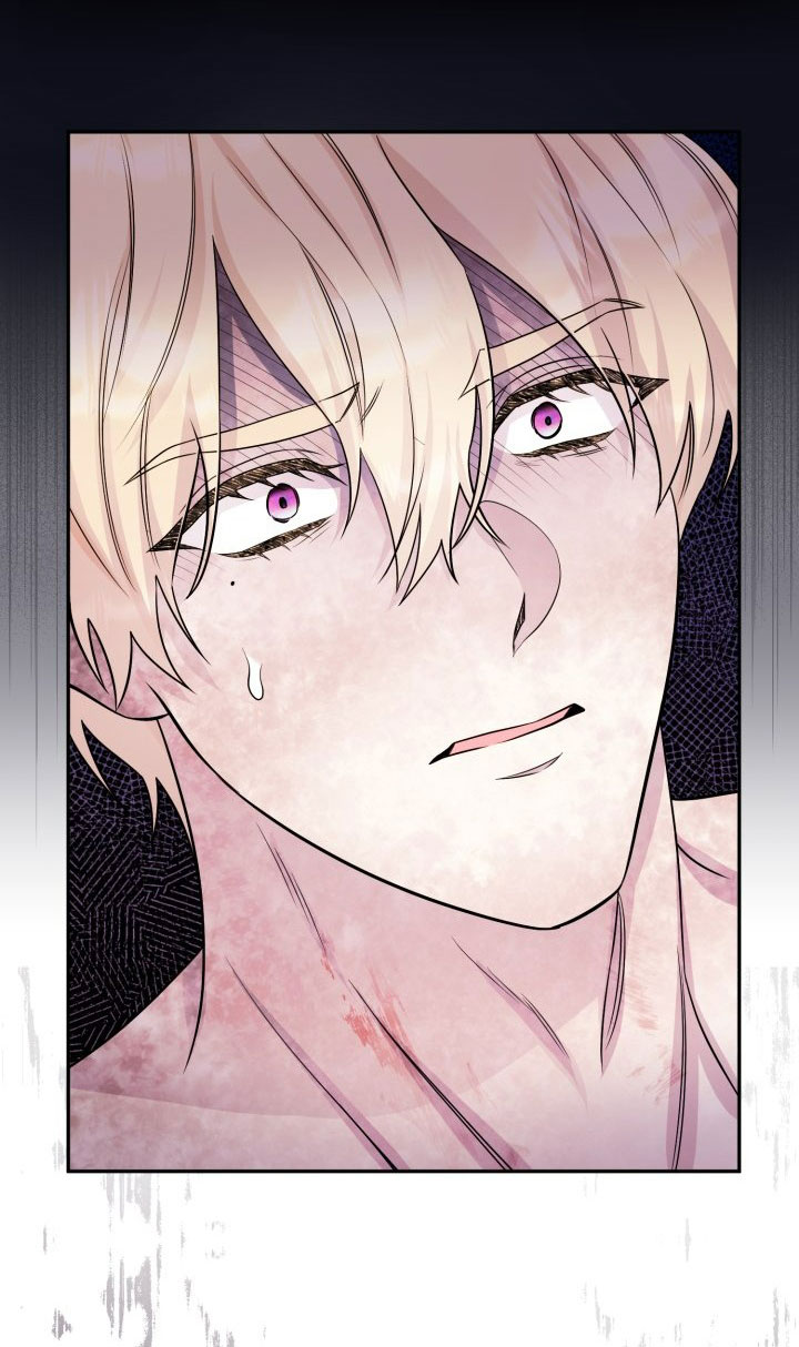 [18+] nếu cứu rỗi một cầm thú hư hỏng chapter 28.2 12