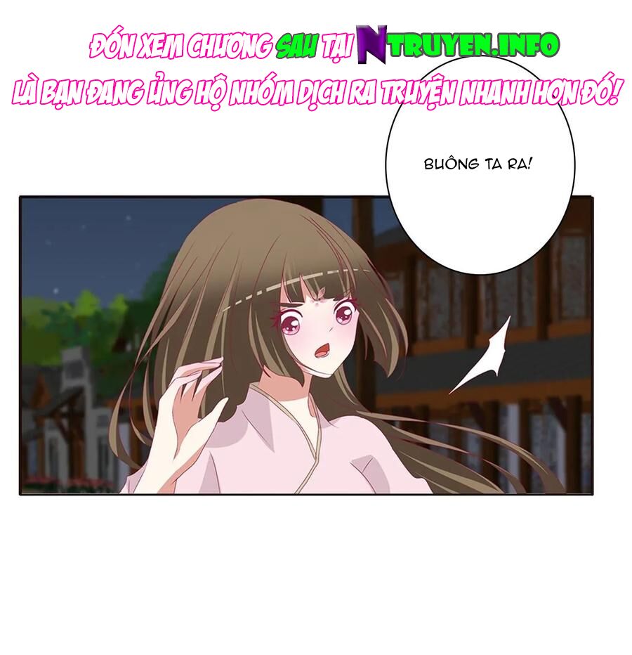 thông linh phi chapter 637 5