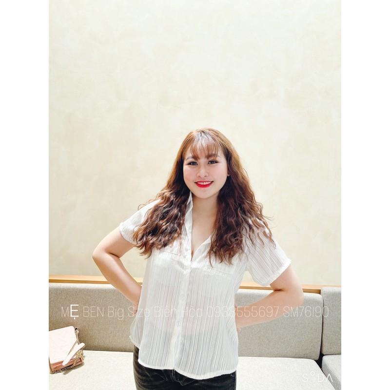 #BIGSIZE SƠ MI SỌC TAY NGẮN