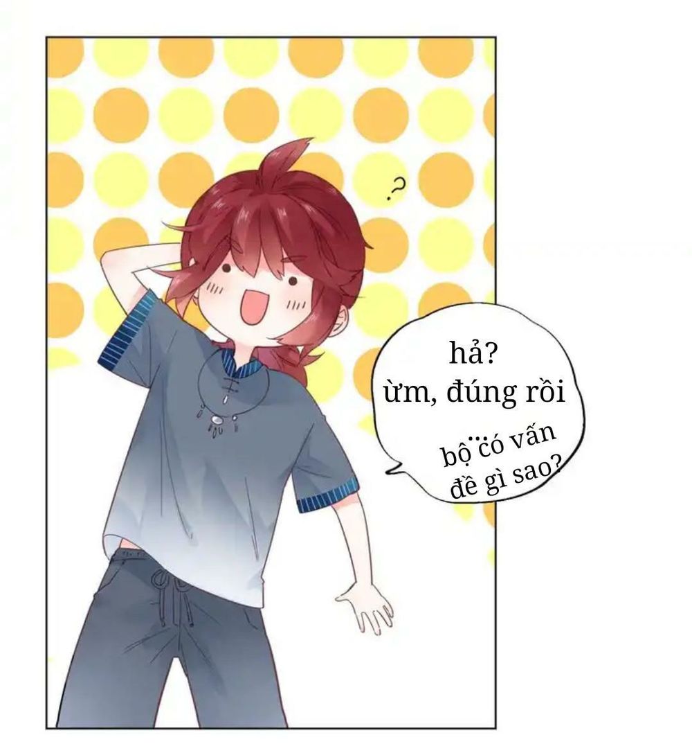 sos! tôi đã yêu một con sâu bướm (phần 2) chapter 40 4