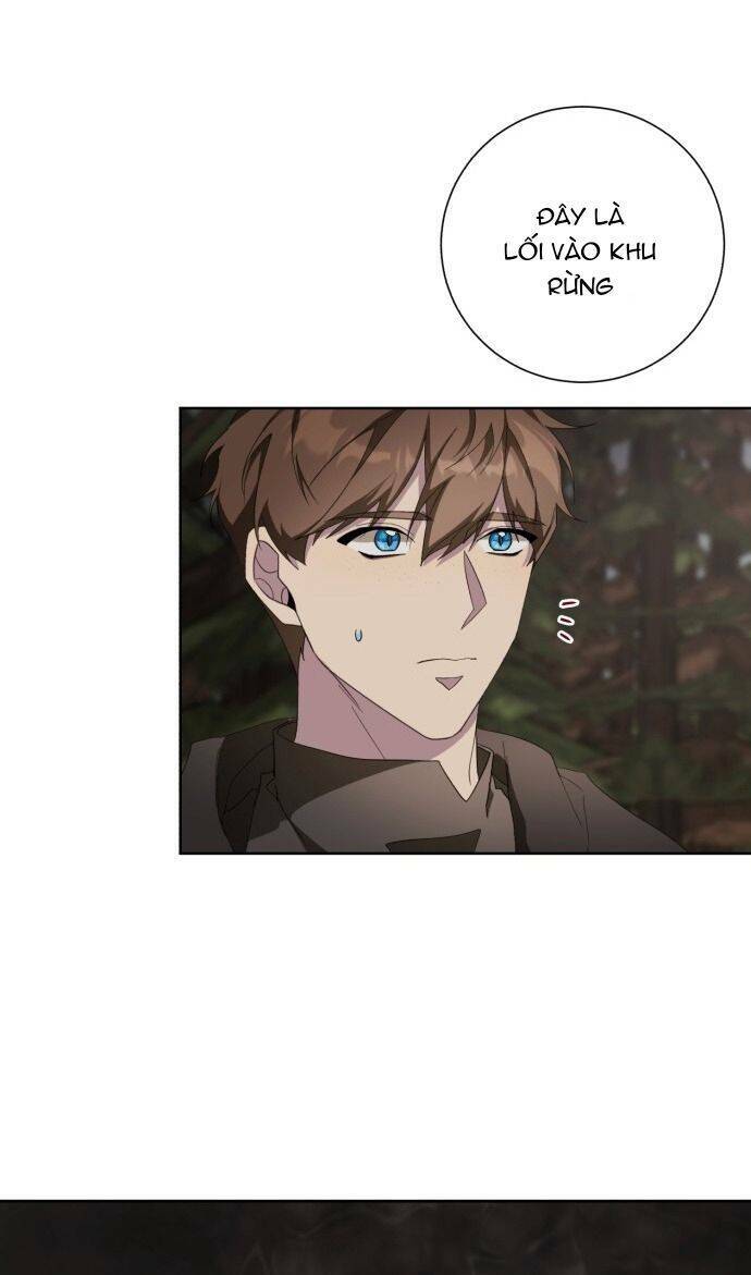 ta đã từng mong nàng biến mất chapter 39 55