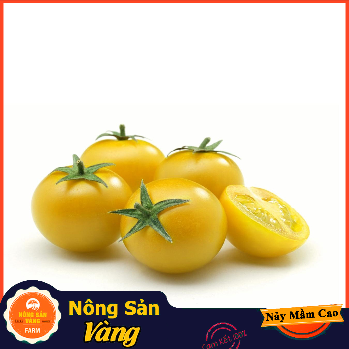 Hạt giống Cà Chua Bi Vàng Lùn - Nông Sản Vàng