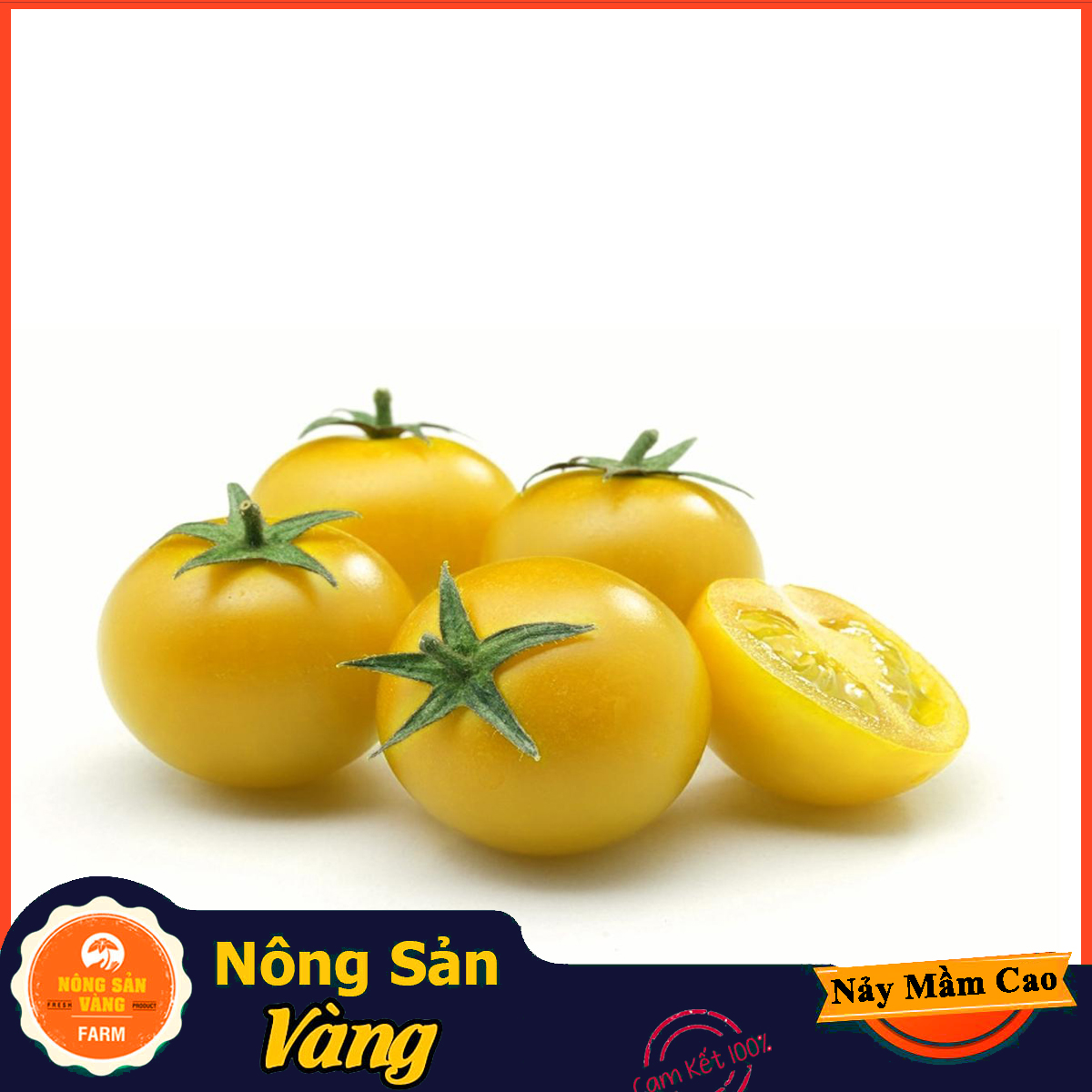 Hạt giống Cà Chua Bi Vàng Lùn ( Gói 0,1g ) - Nông Sản Vàng