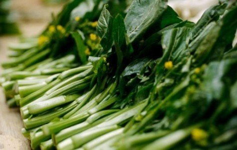 Hạt giống rau cải ngồng 3