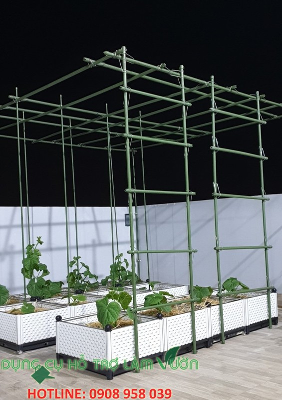 GIÀN THANG CHO CÂY LEO RỘNG 50*CAO 210CM- ỐNG PHI 16