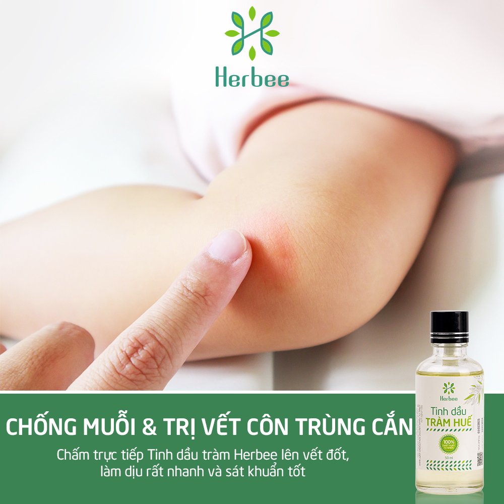 Tinh Dầu Tràm Herbee (50ml), Dầu Tràm Nguyên Chất, Giữ Ấm Cơ Thể Khi Trời Lạnh, Chiết Xuất 100% Từ Lá Tràm Gió Huế