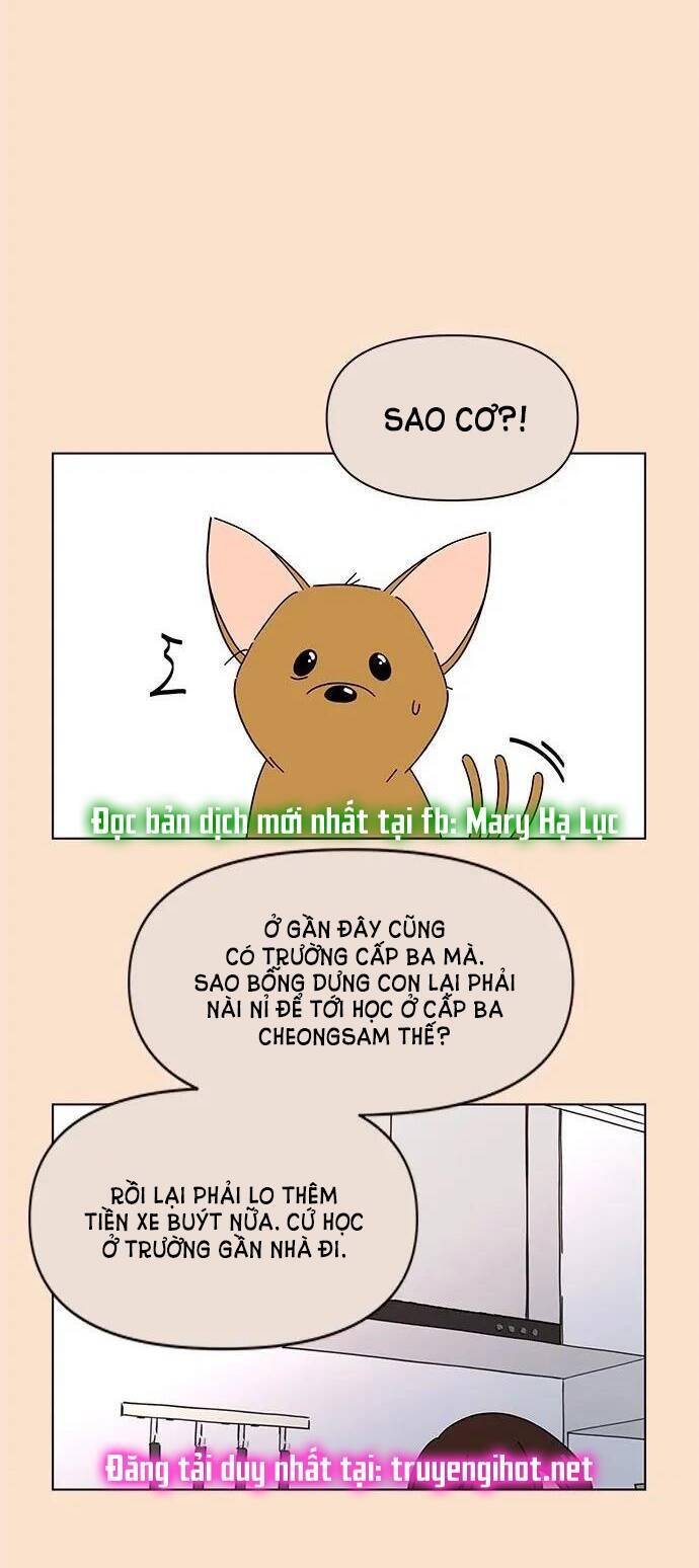 thanh xuân rực rỡ - season of blossom chapter 85 37