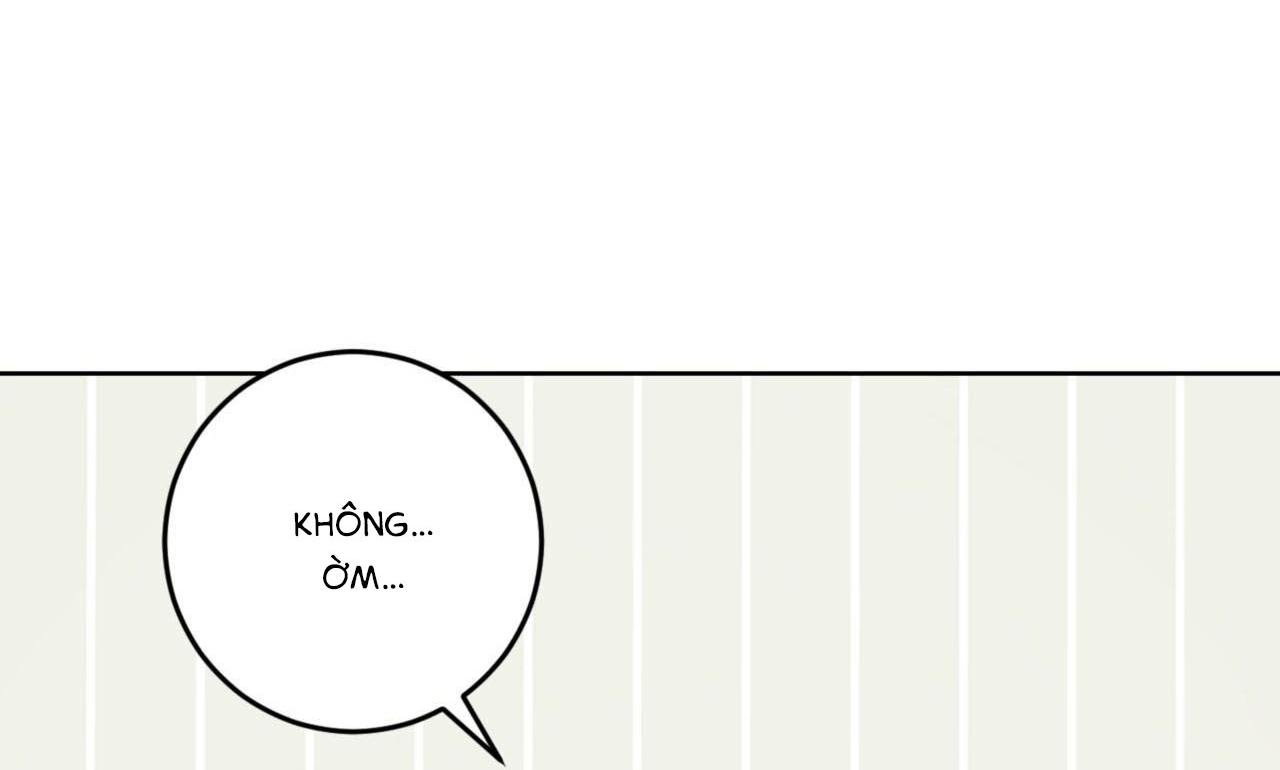 khu rừng tĩnh lặng chapter 11 29