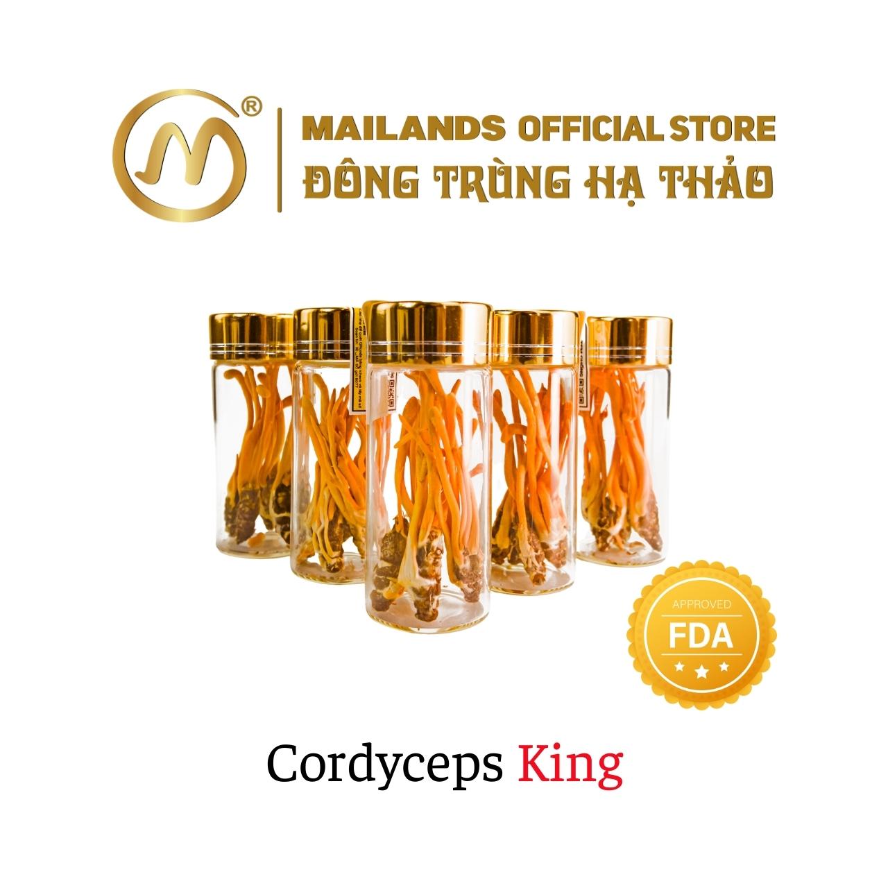 Đông Trùng Hạ Thảo Cordyceps KING