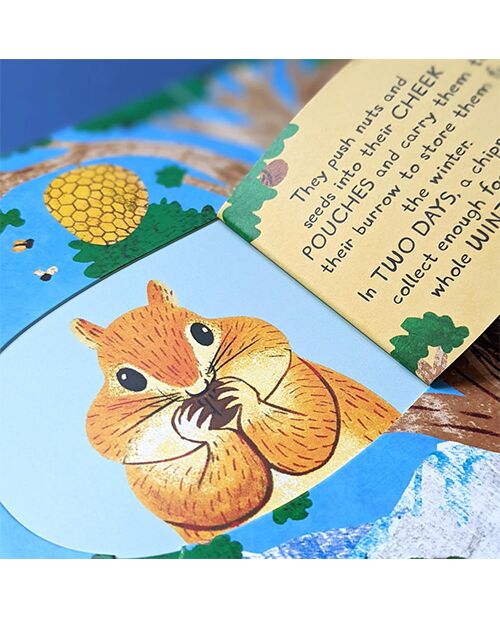 Laege Question and Answer Flap Book - Animals by  Rachel Moss