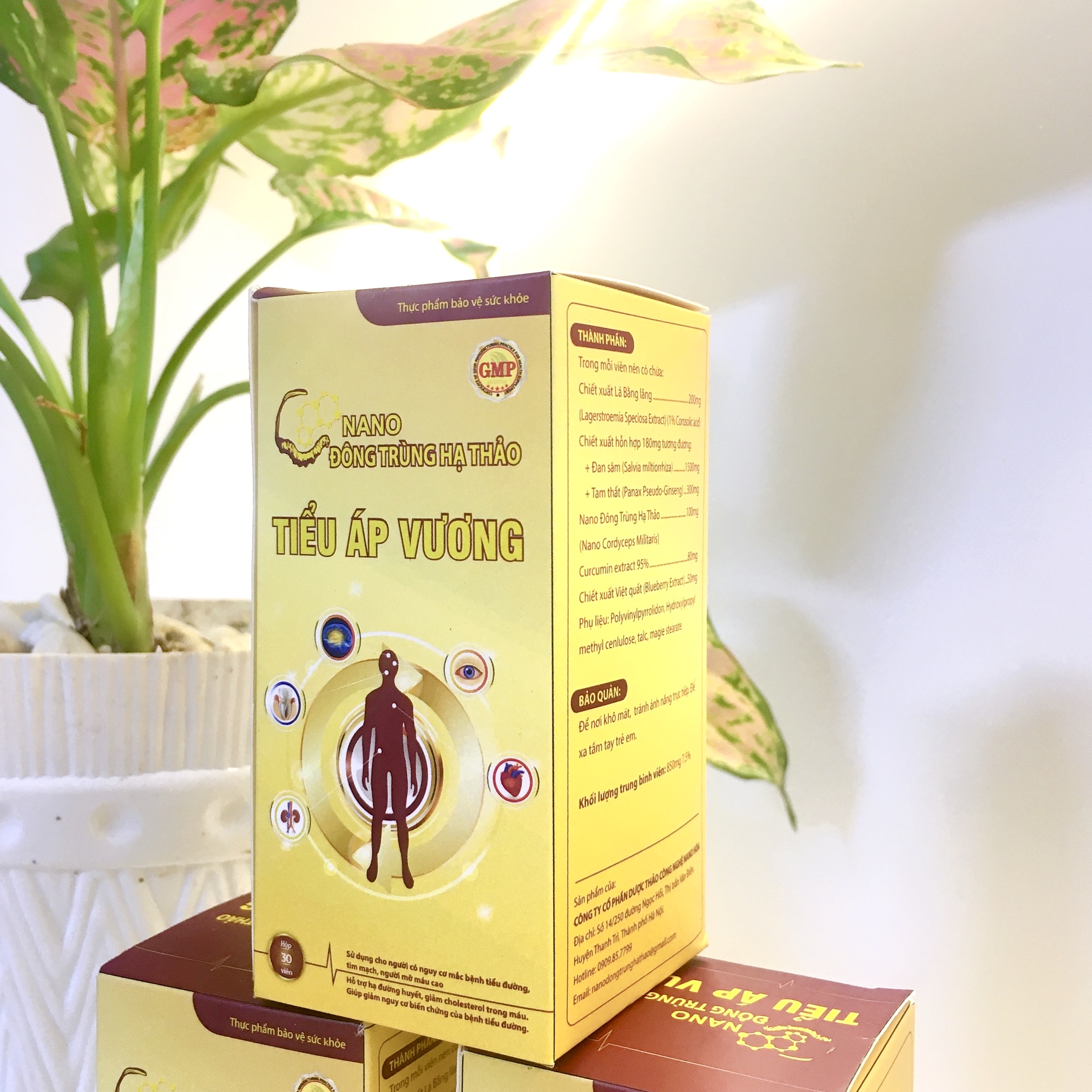 TIỂU ÁP VƯƠNG Hỗ trợ hạ đường huyết giảm Cholesterol trong máu