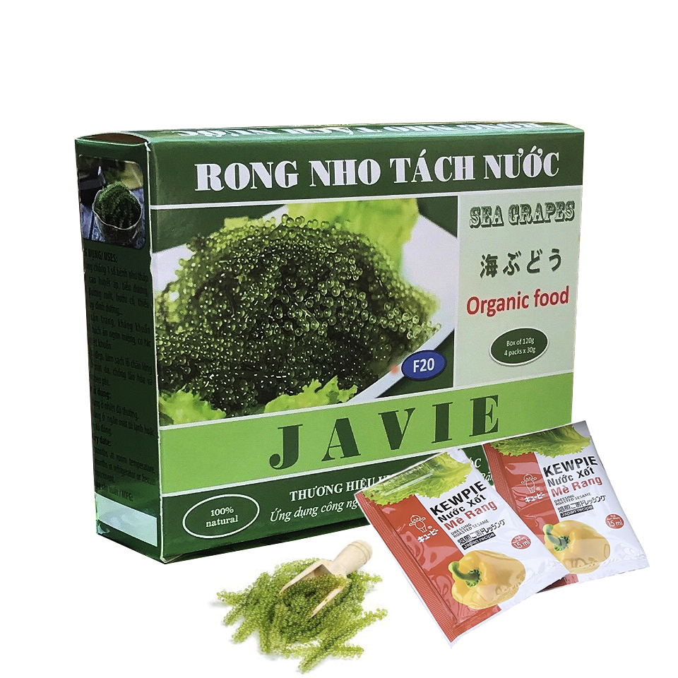 RONG NHO TÁCH NƯỚC JAVIE ngon mát