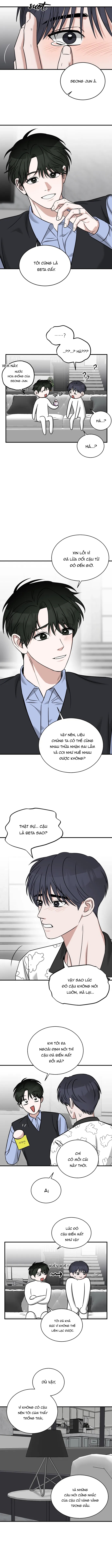 tôi không phải beta đâu nhé! chapter 8 8