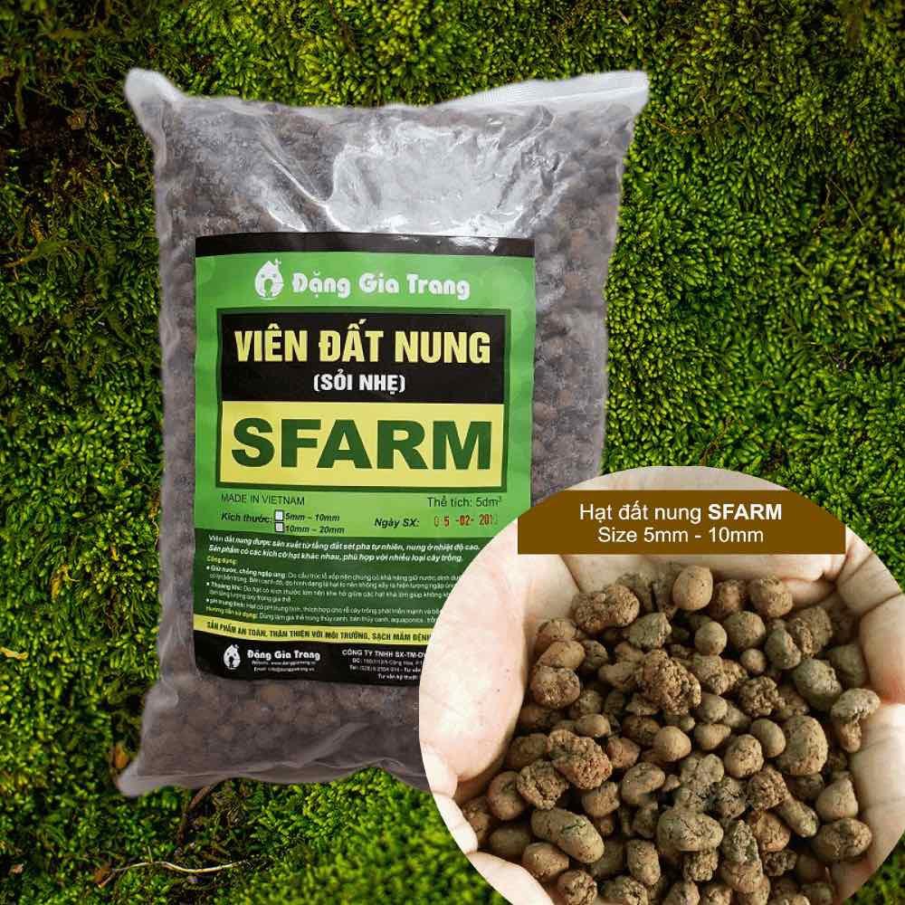 Viên đất nung Sfarm trồng lan, trồng cây, sen đá, làm hệ thống lọc.... túi 5dm