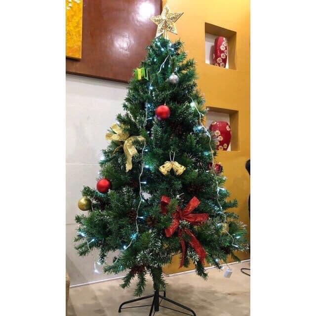 Cây thông Noel