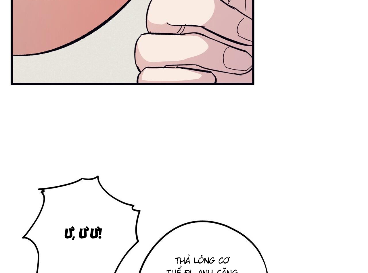 chàng dâu nhà họ kang chapter 44 73