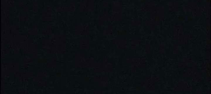 s flower chapter 66.1 11