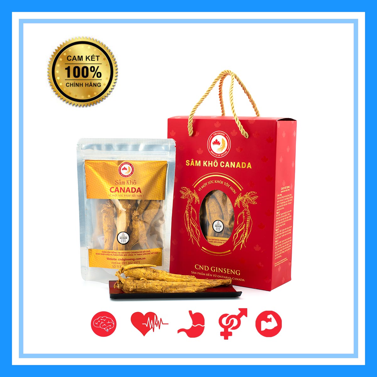 Nhân Sâm Canada - Sâm Khô Nguyên Củ - Medium
