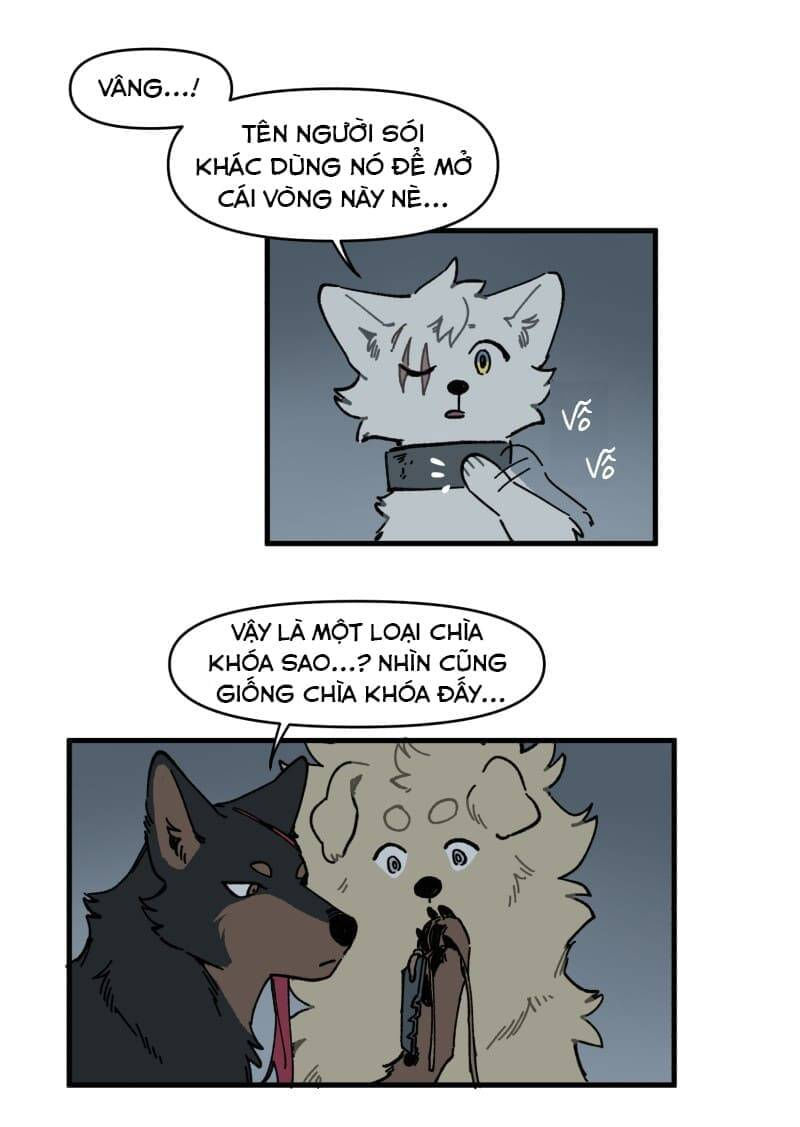 lumine - cội nguồn ánh sáng chapter 145 22