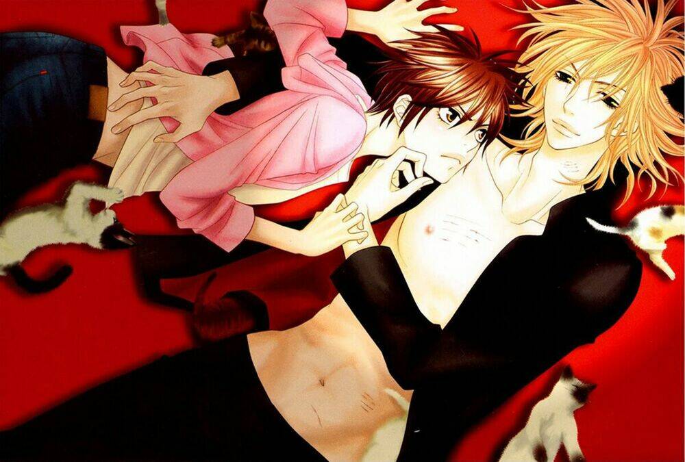 nekoka danshi no shitsukekata chapter 1 6