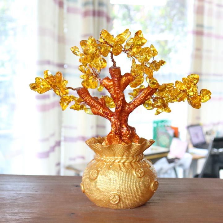 Cây tài lộc - cây đá dáng bonsai chậu hình túi tiền nhỏ màu vàng - đá
