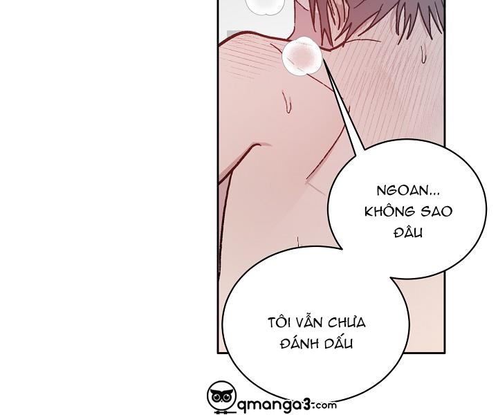 Chàng Tuấn Mã Của Tôi chapter 37