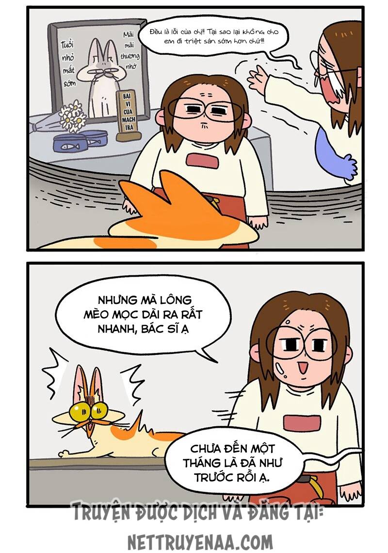 a mãn và mạch trà chapter 13.1 4