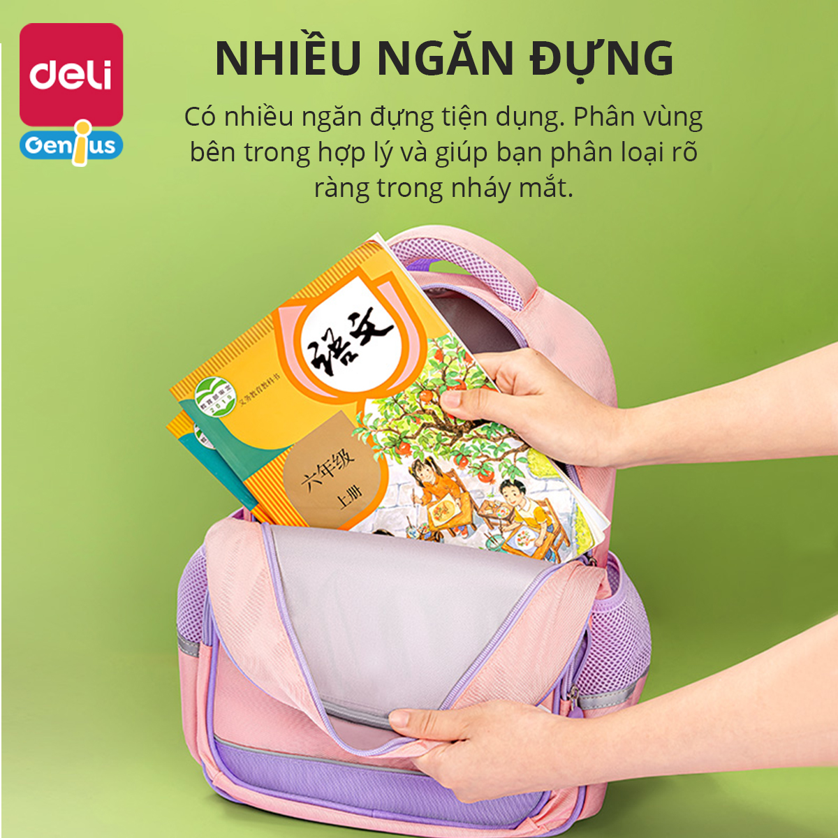 Balo học sinh Deli nhiều màu sắc đẹp mắt cho bé trai, bé gái đi học, đi chơi mẫu giáo, cấp 1 - Cặp chống gù lưng - B13 / B14