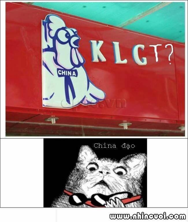 hình ảnh hài hước new chapter 5 26