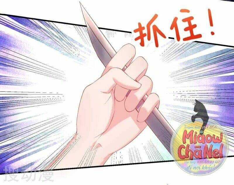 thị huyết y phi chapter 35 11