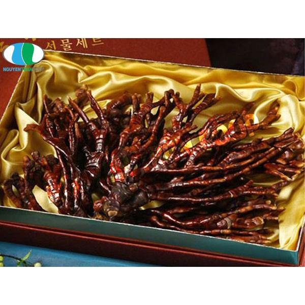 NẤM LINH CHI SỪNG HƯƠU RỪNG KHÔ, HÀNG CHỌN LOẠI 1, CAM KẾT CHẤT LƯỢNG