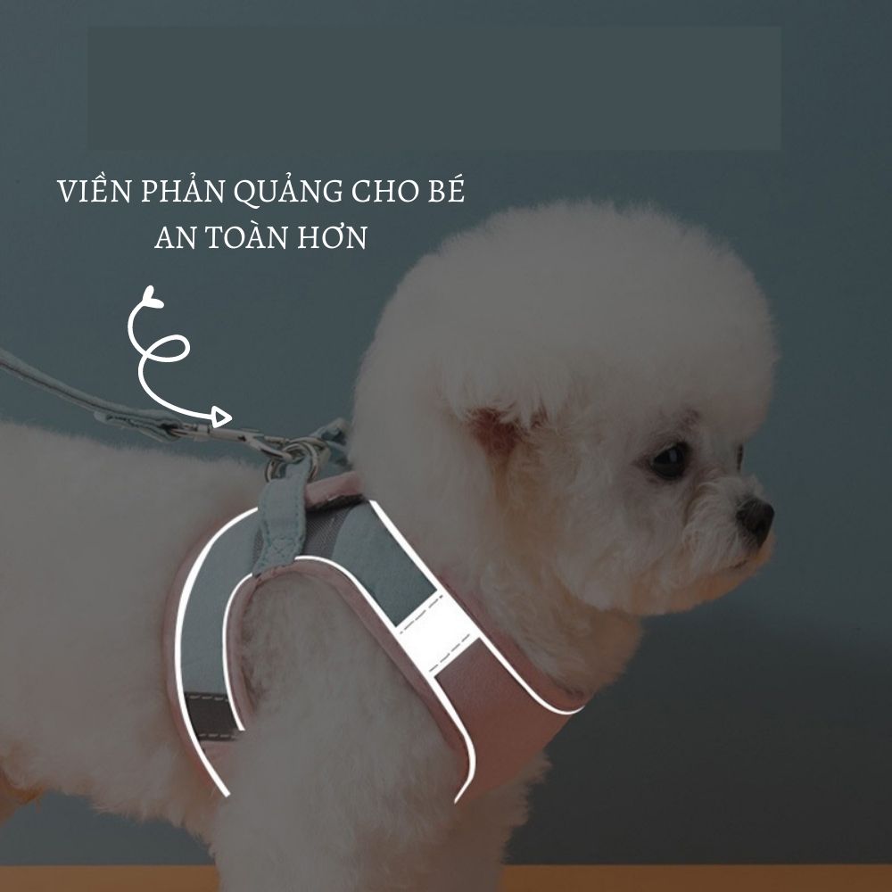 Bộ yếm vải kèm dây dắt chó, mèo (từ 1-25kg) / Dây dắt viền phản quang thích hợp khi đi dạo công viên, chạy bộ với ba, mẹ