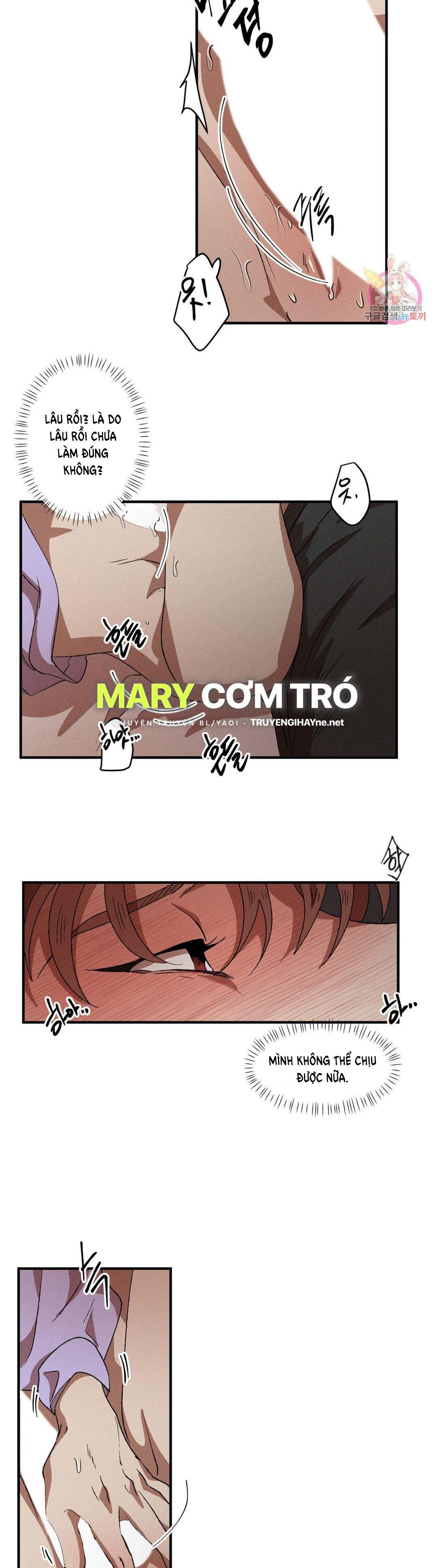 bẫy kép chapter 40.2 5