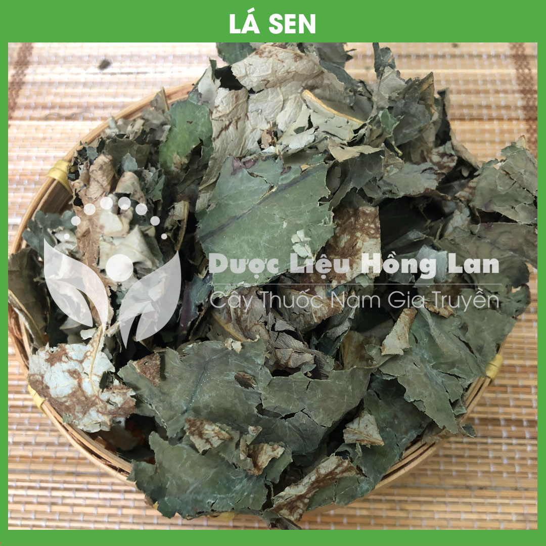 500g Lá Sen khô sạch