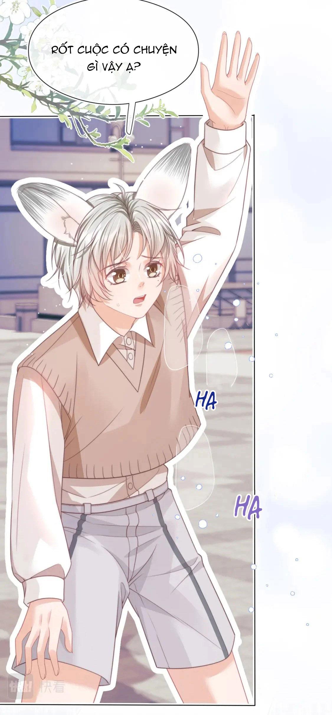 [ss2] một ngụm ăn cả thỏ con chapter 38 32