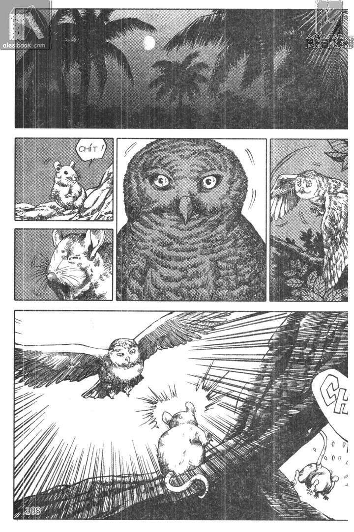 chiếc lược ngà chapter 5 10