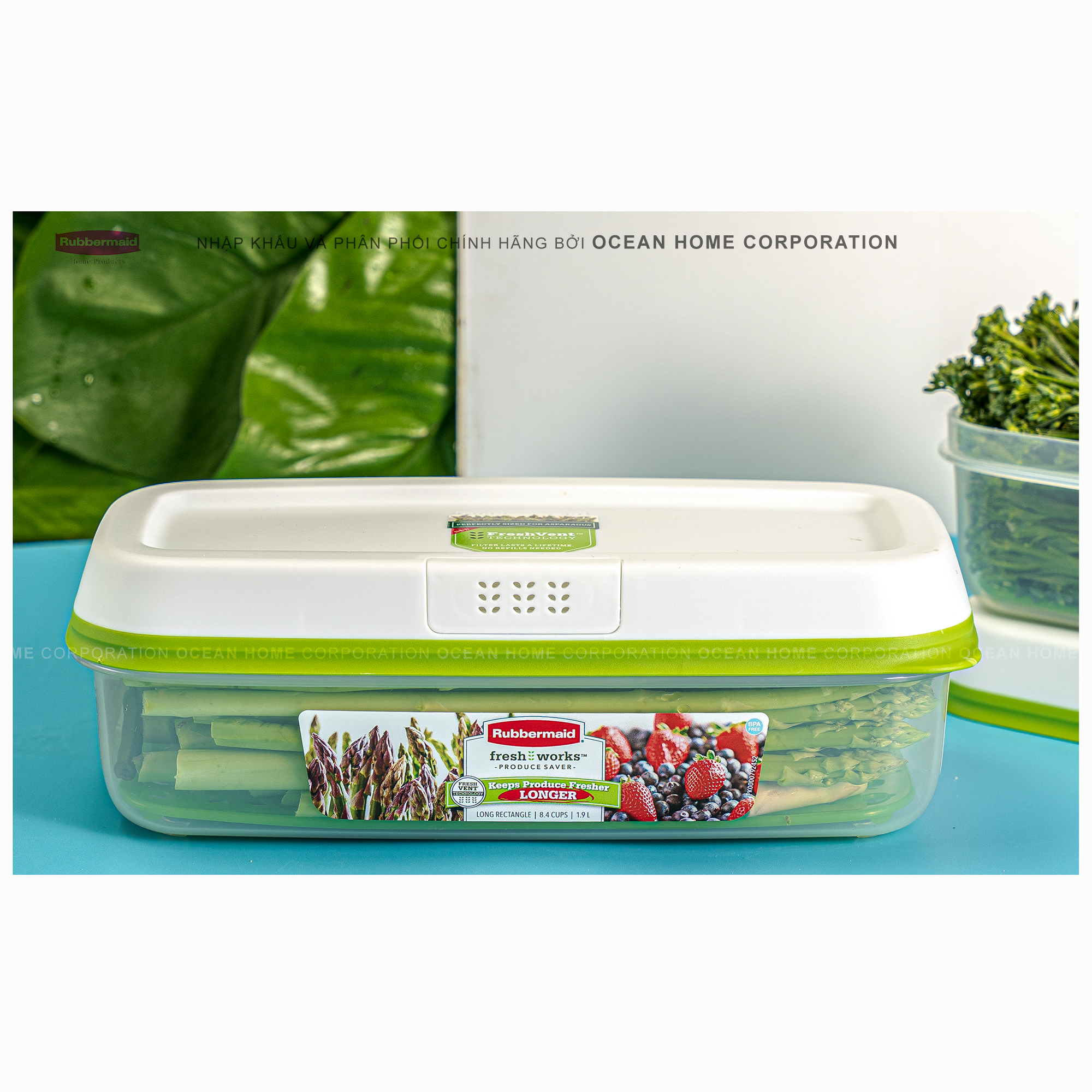 Hộp bảo quản rau củ quả RUBBERMAID 1.9L