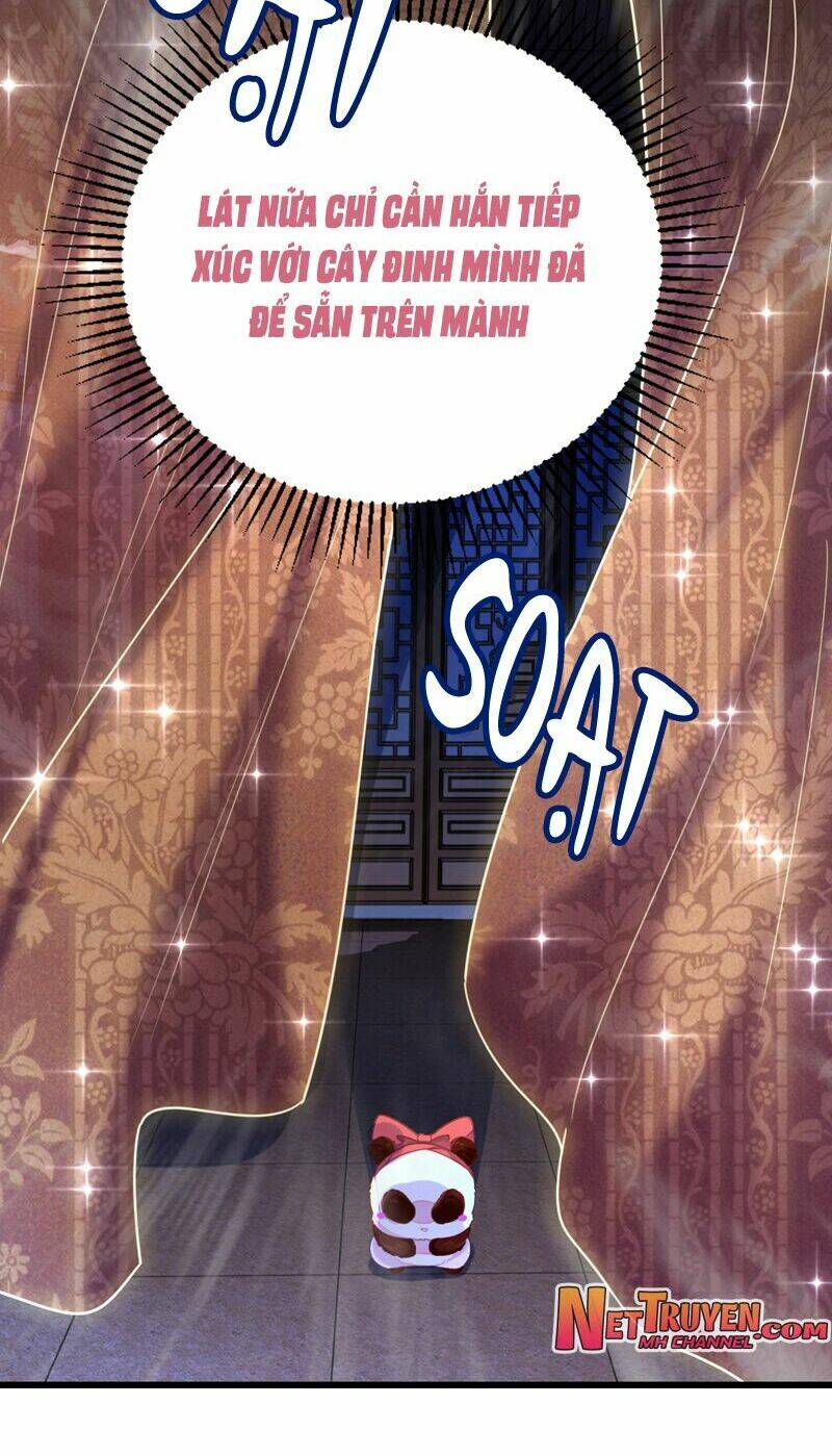 thiên thần gấu trúc muốn được ôm chapter 26 10