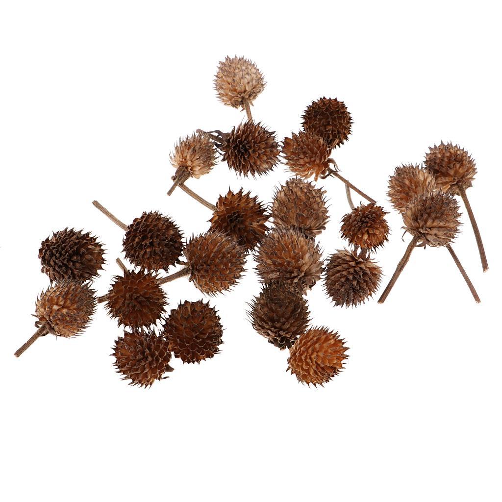 50pcs Mini Dried Flowers Fruits DIY Candy Box Christmas Wedding Decorations