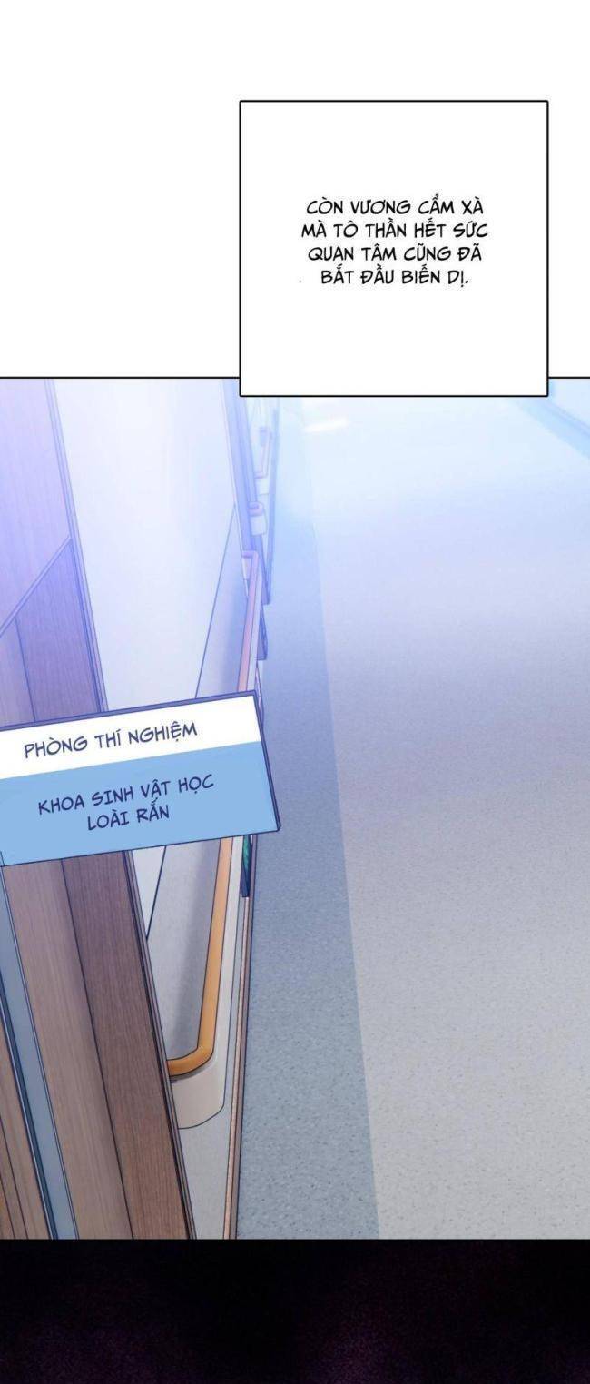 kẻ tàn nhẫn ngày tận thế: bắt đầu dự trữ hàng tỉ tấn vật tư chapter 17 31