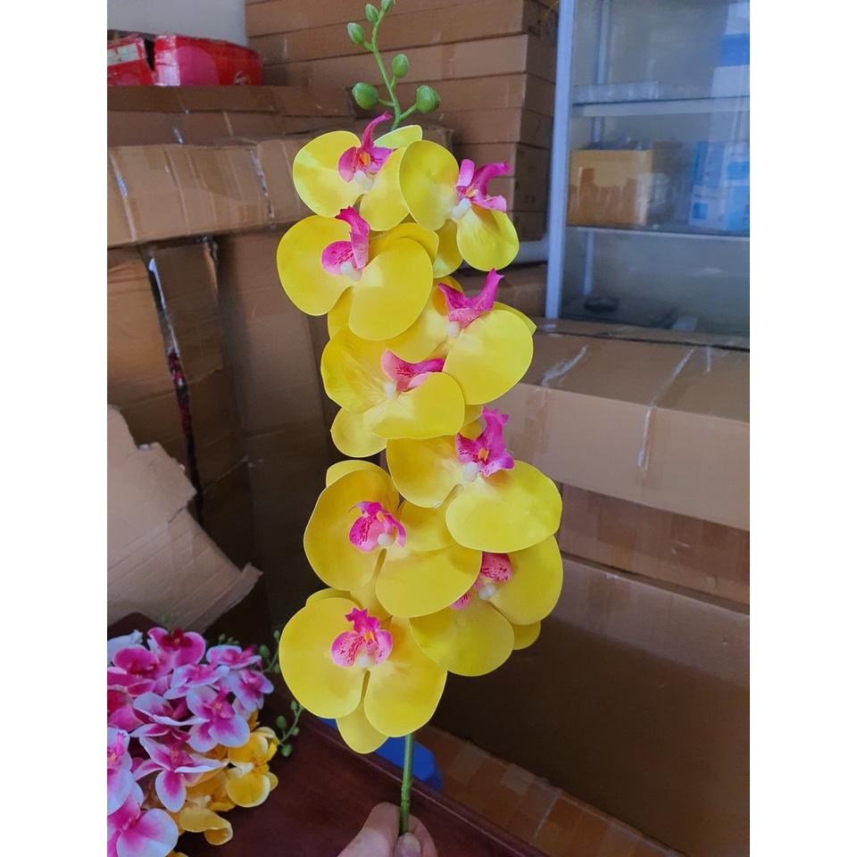 Cành lan hồ điệp giả 9 bông chất cao su non, hàng đẹp.